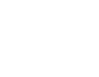 Fortis Financial Group